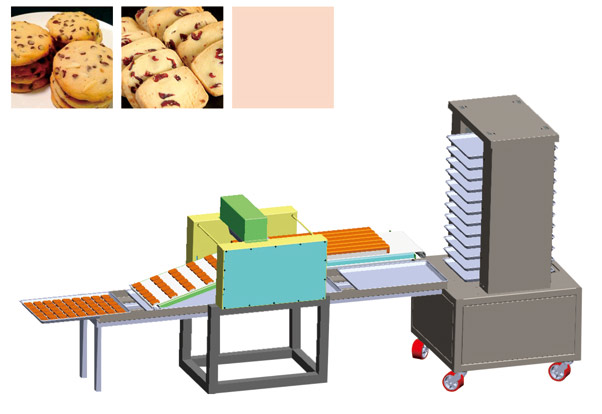 冷凍曲奇切片排盤一體機